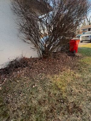 {{ custom_values.service_3 }} in {{custom_values.area_3})