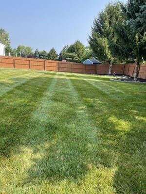 {{ custom_values.service_3 }} in {{custom_values.area_3})