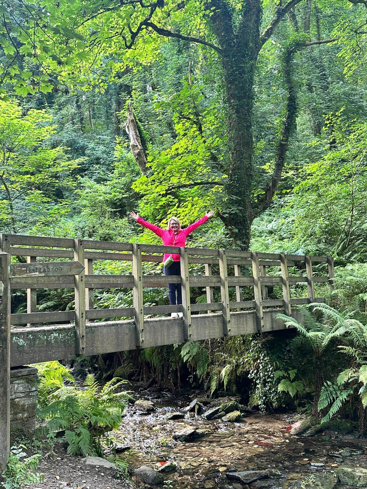 Steph Lee, founder of The Anchor Path, standing on a woodland bridge with her arms open