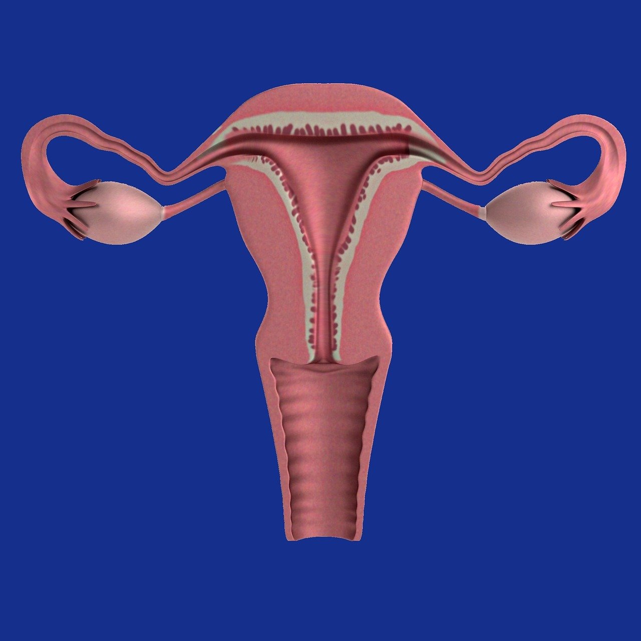 Understanding PCOS: A Clear, Compassionate Guide