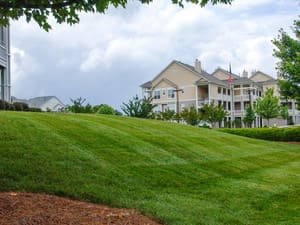 Landscaping Designs in Key Biscayne