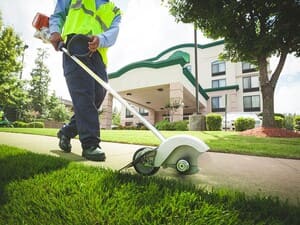 Landscaping Designs in Miami