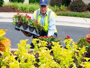 Commercial Lawn Care in Miami