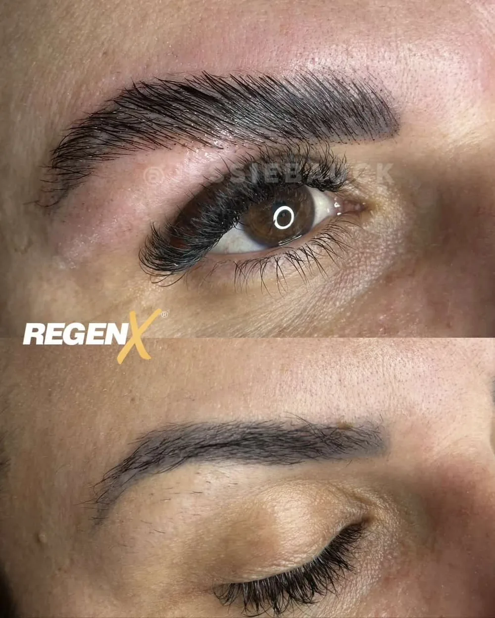 Sourcils plus fournis grâce à RegenX