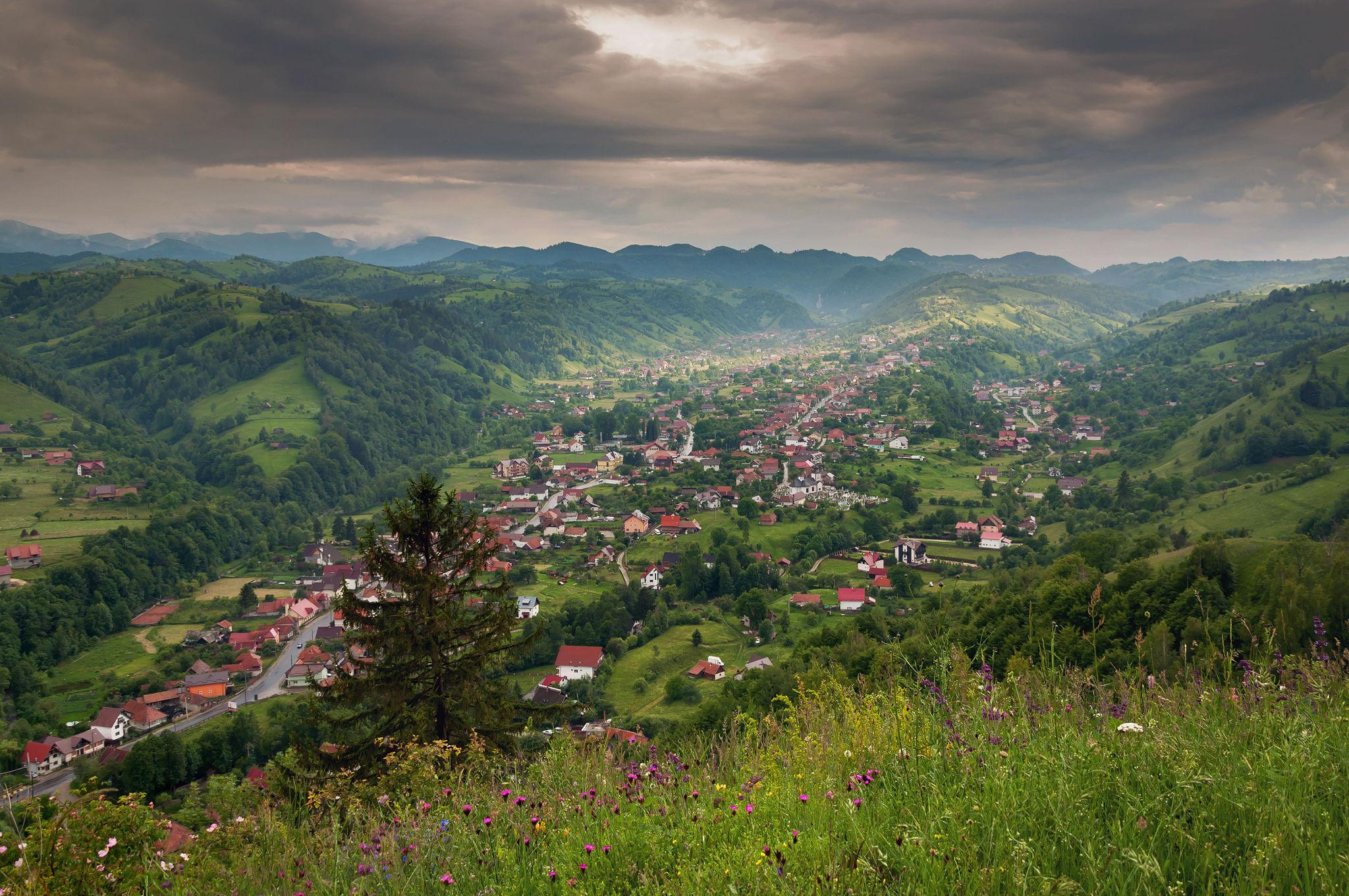 Bran Castle and Transylvania mountain landscape