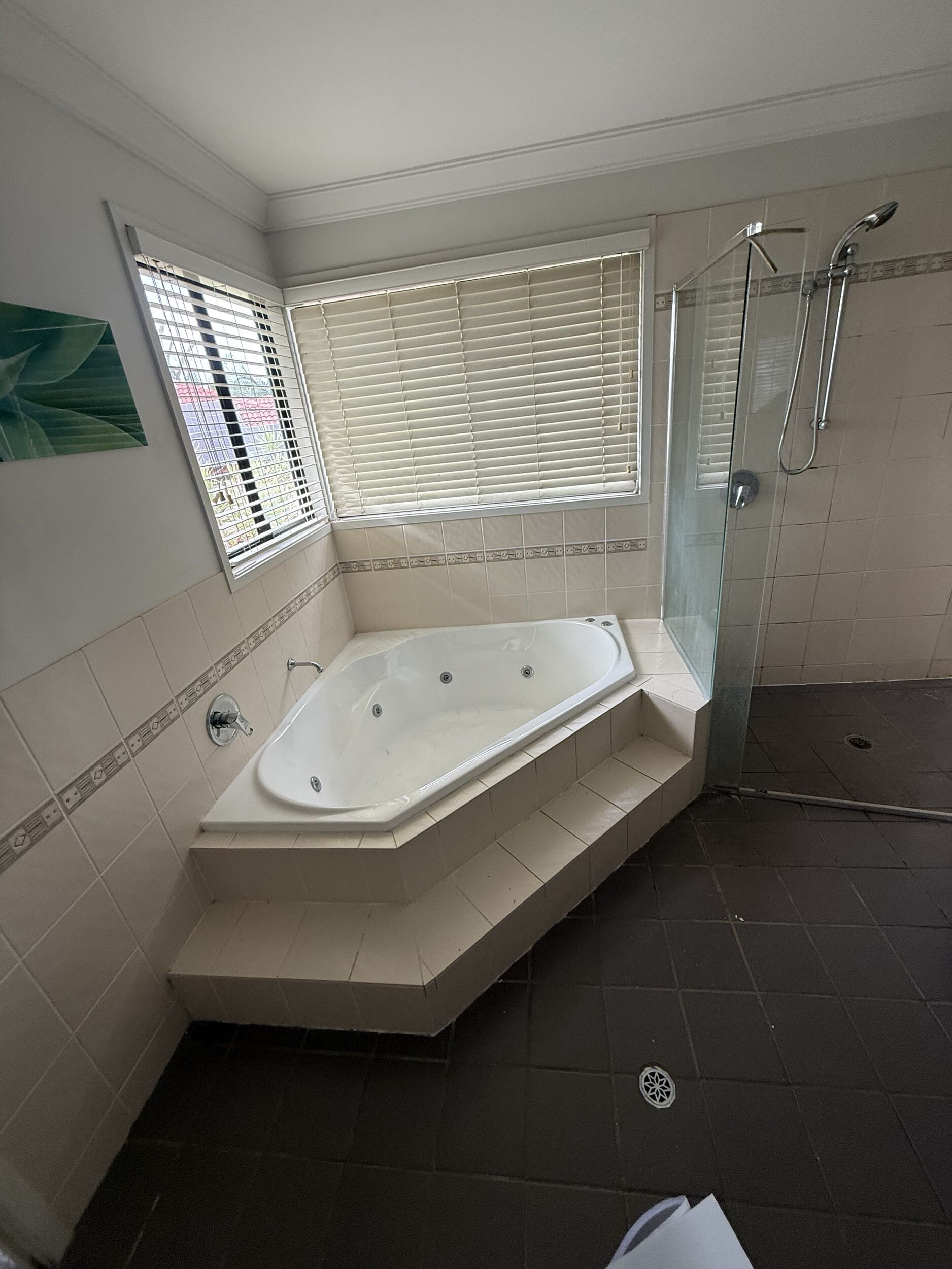 Bathroom before renovation 2