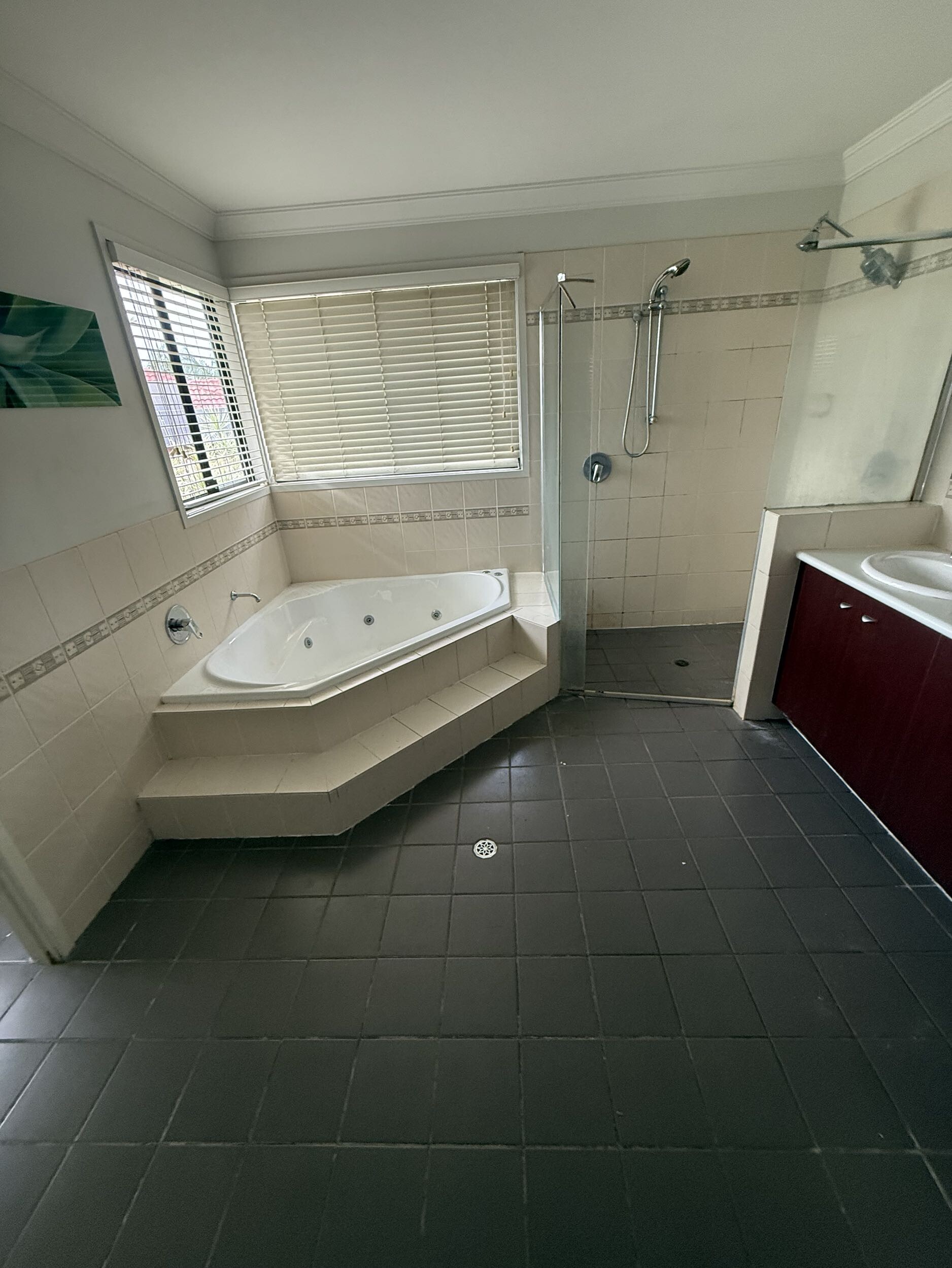 Bathroom before renovation 6