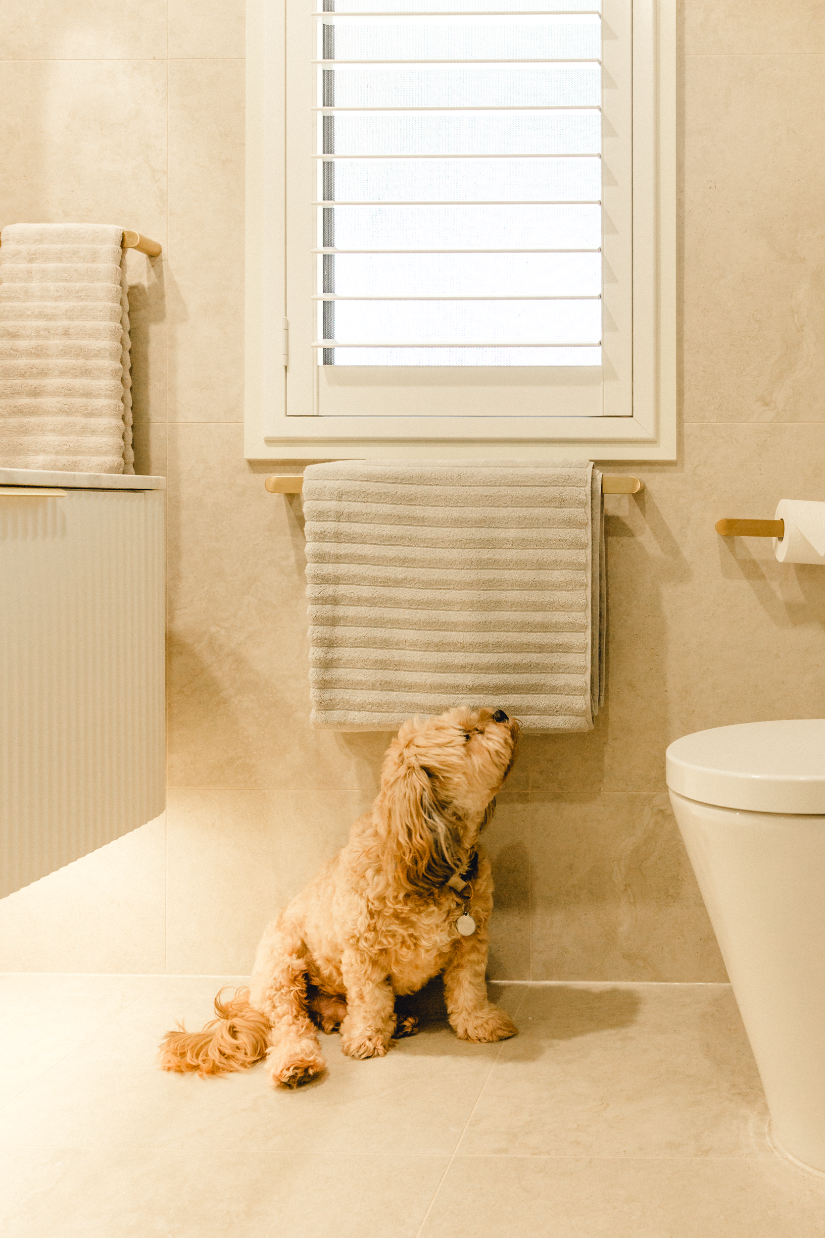Bathroom after renovation 3