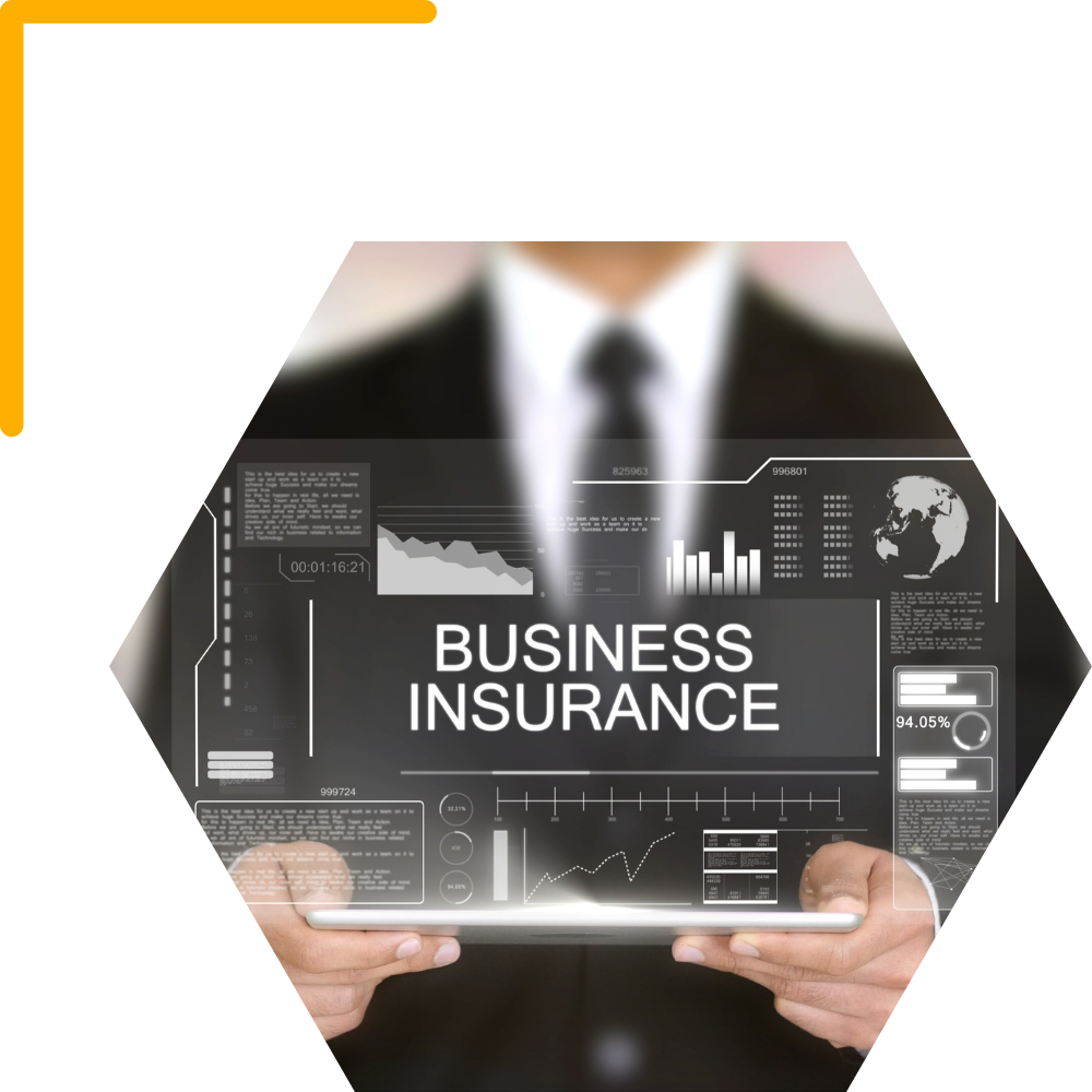 Insurance website design Midnite Systems