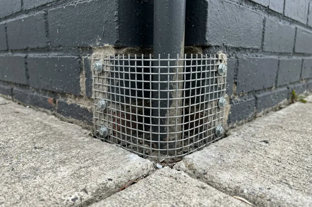 Rodent in Montgomery County