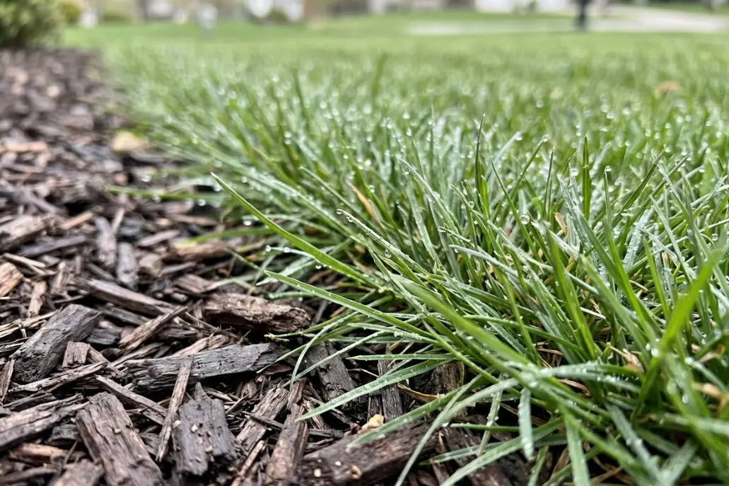 Philadelphia County Tick Flea Mosquito