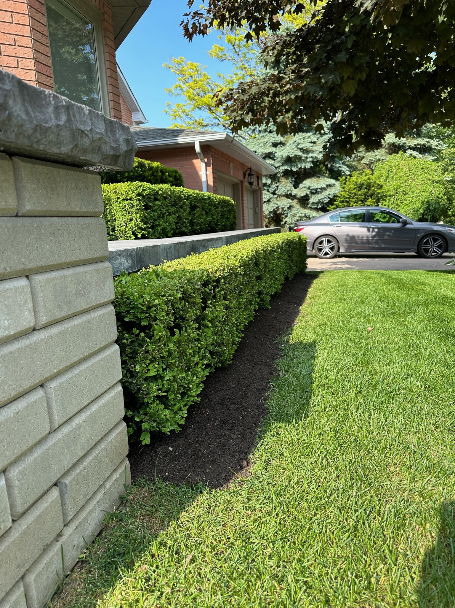 Softscaping project