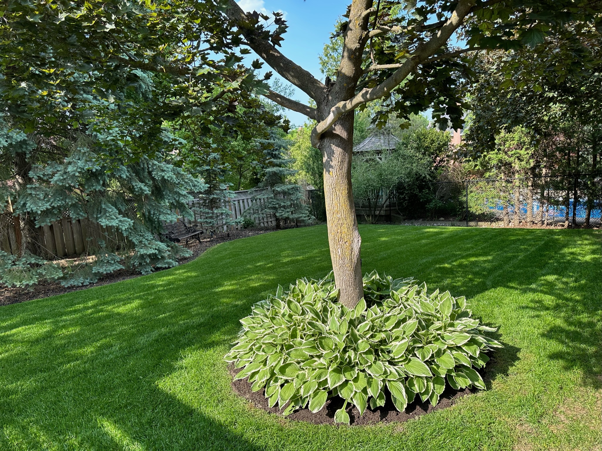 Softscaping project