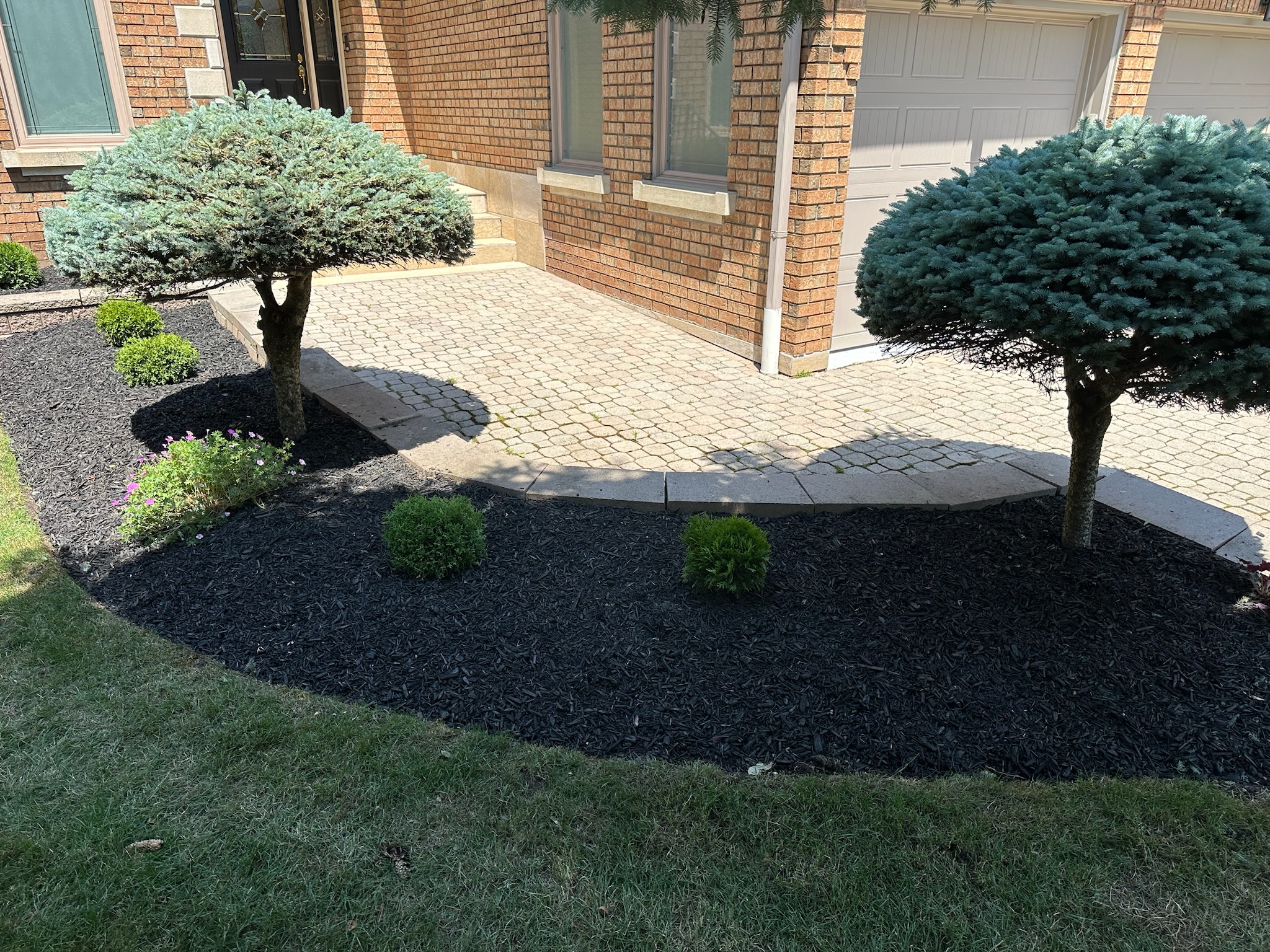 Softscaping project
