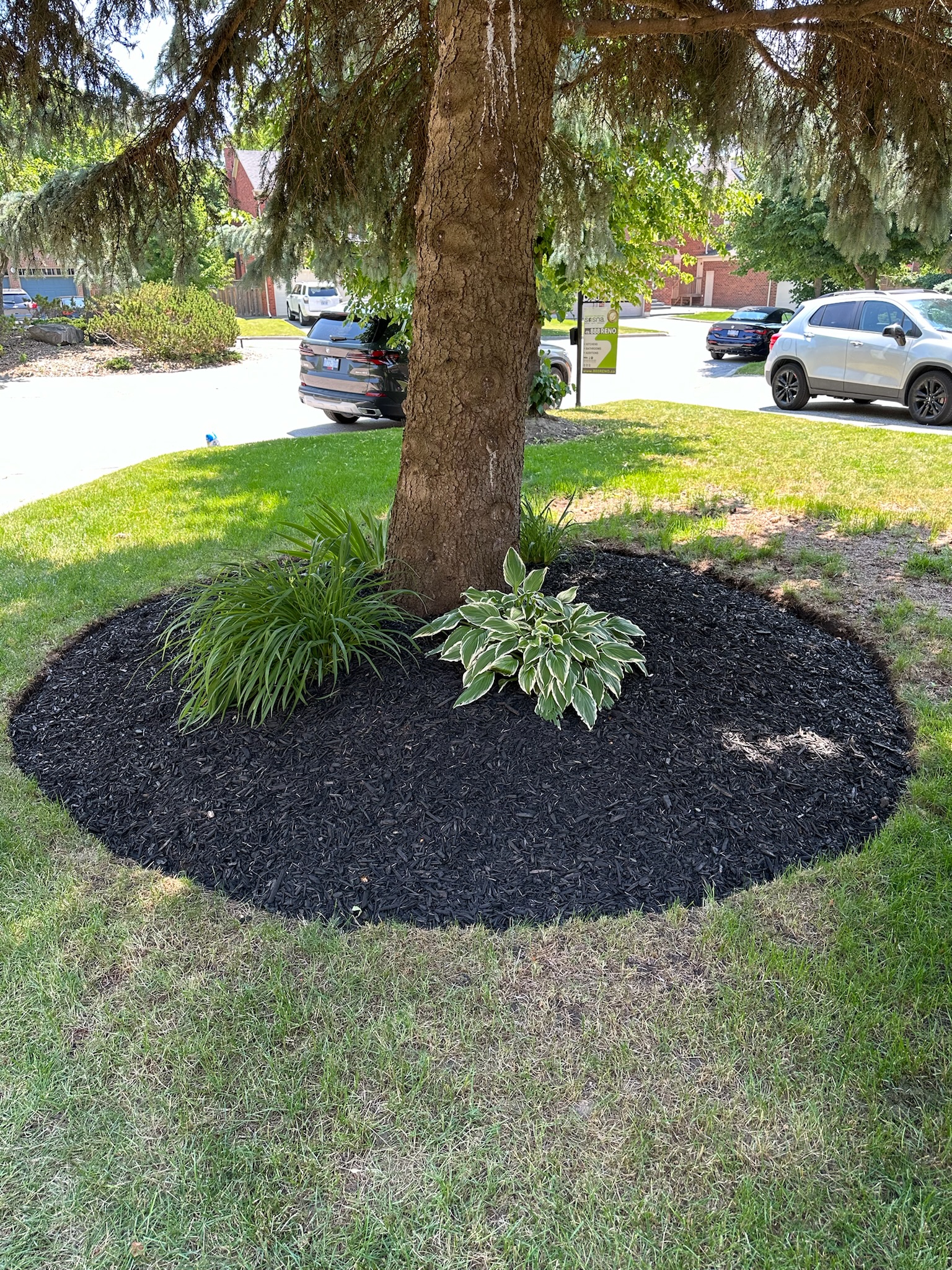 Softscaping project