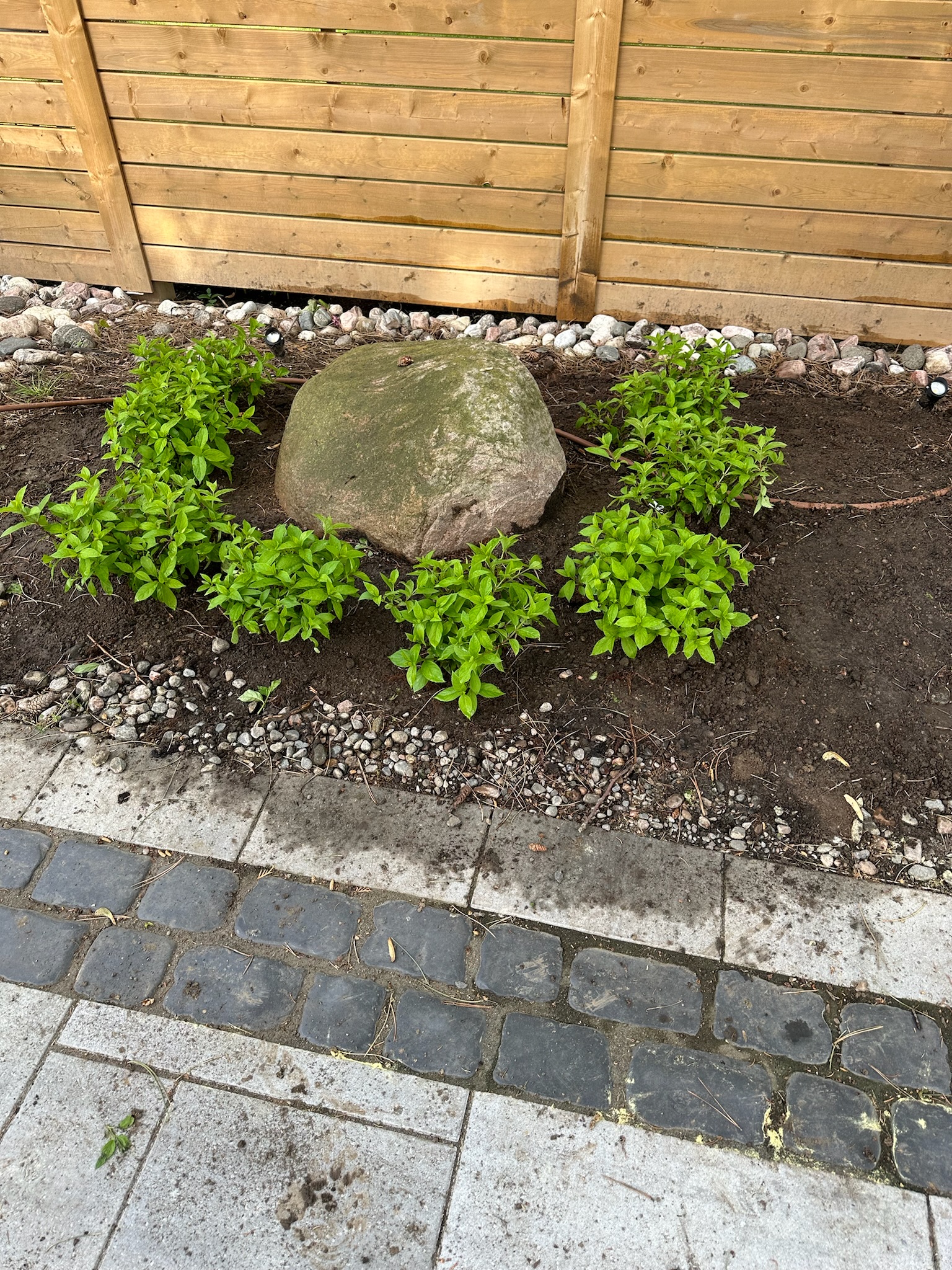 Softscaping project