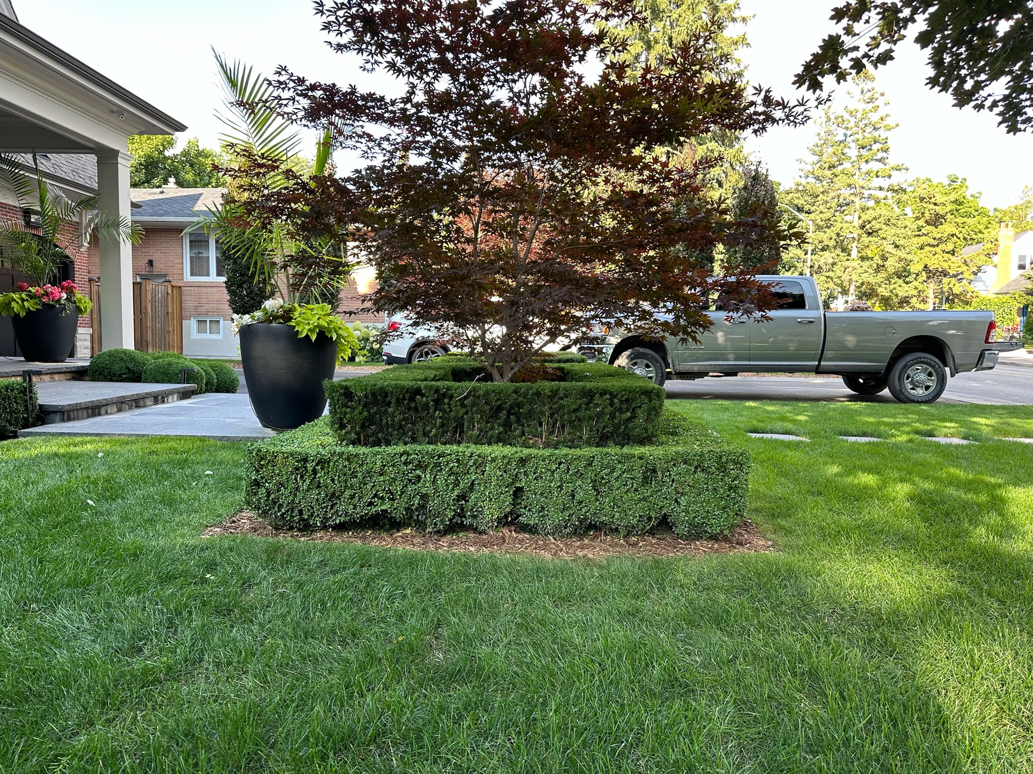 Softscaping project