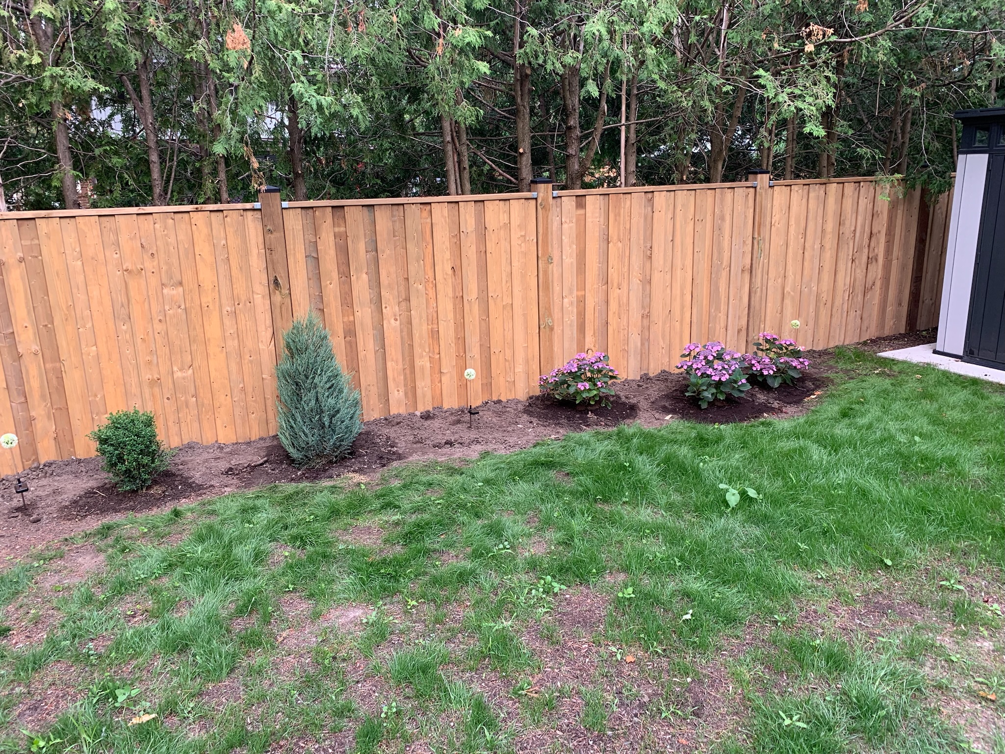 Softscaping project