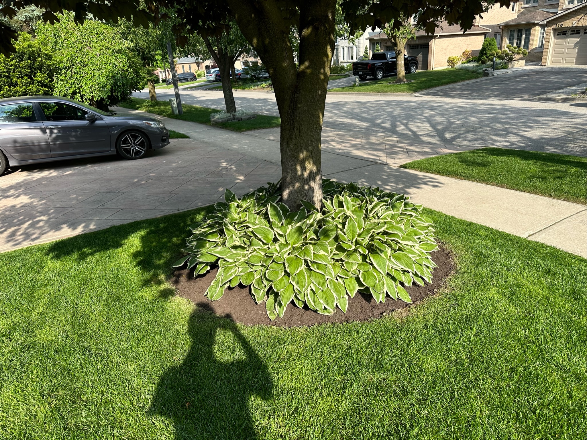 Softscaping project