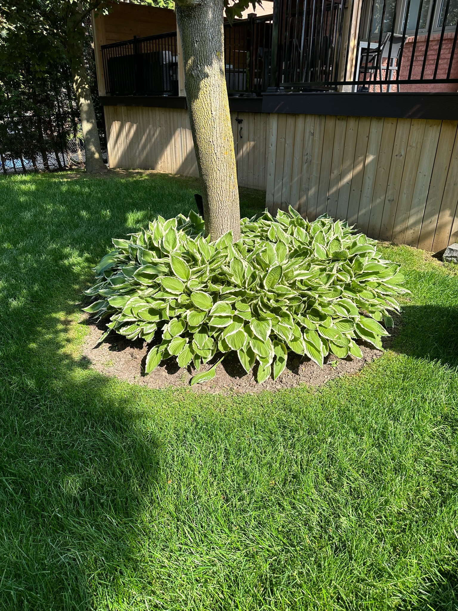 Softscaping project