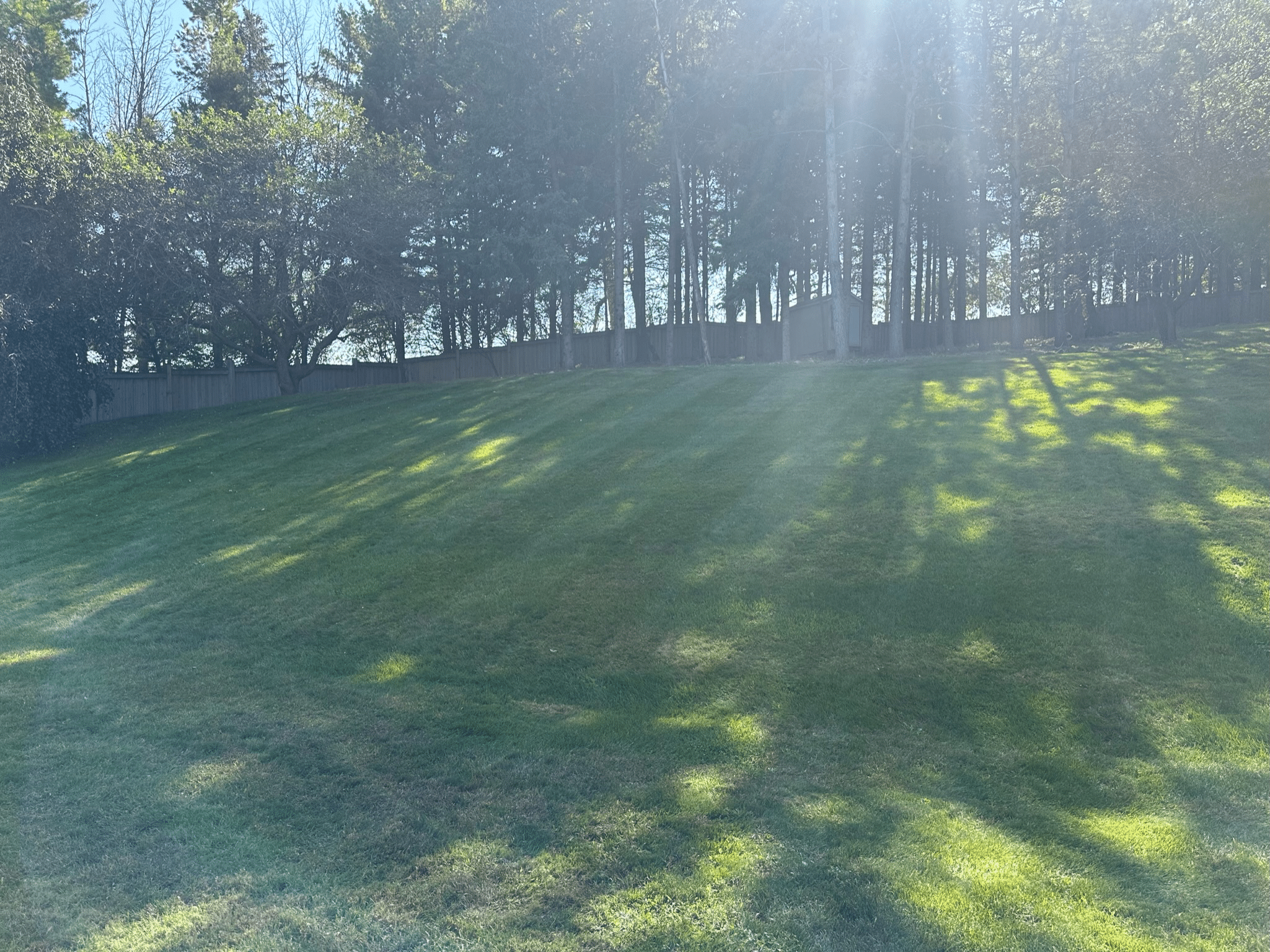 FALL CLEANUP