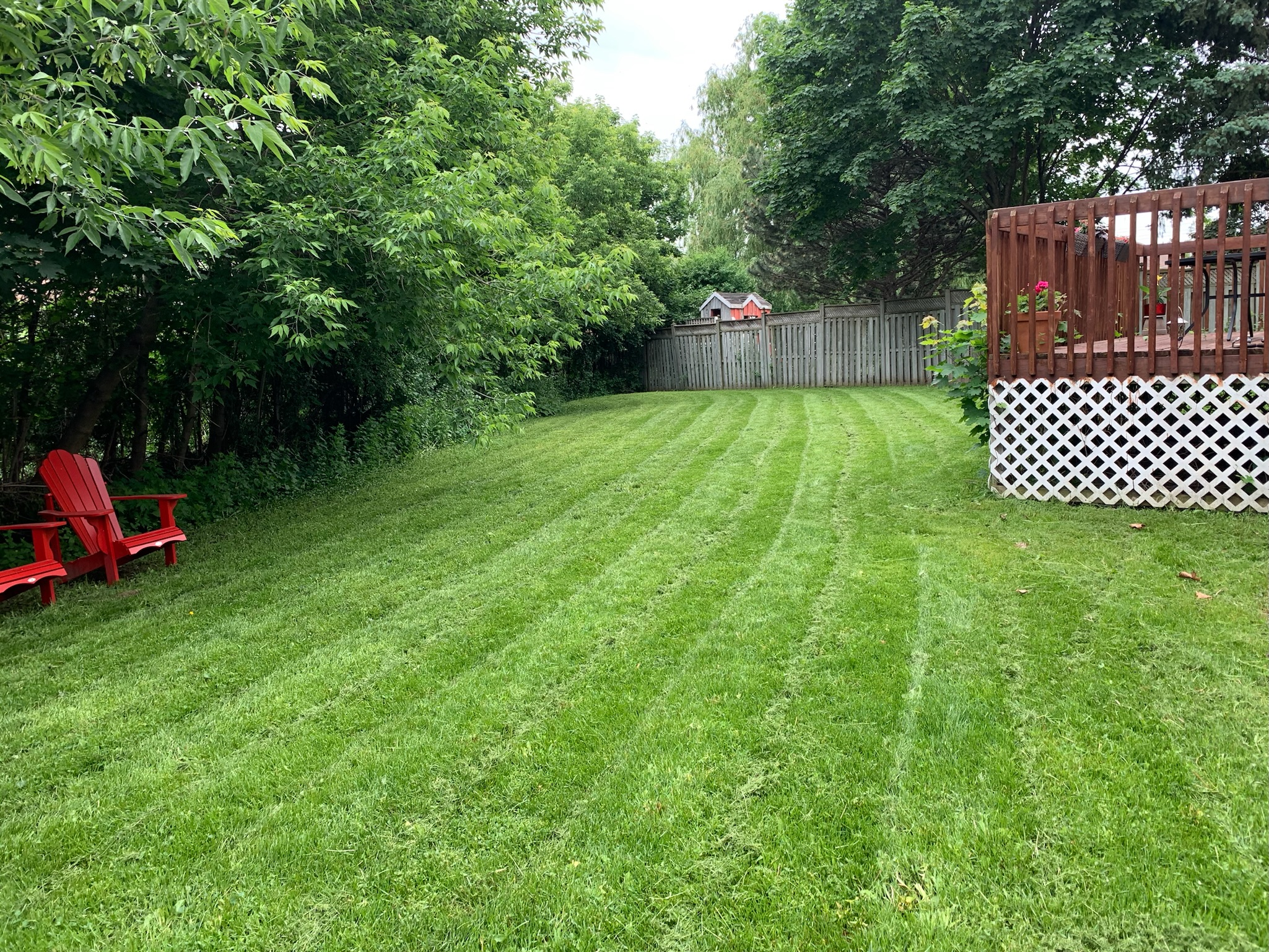 Maintenance project
