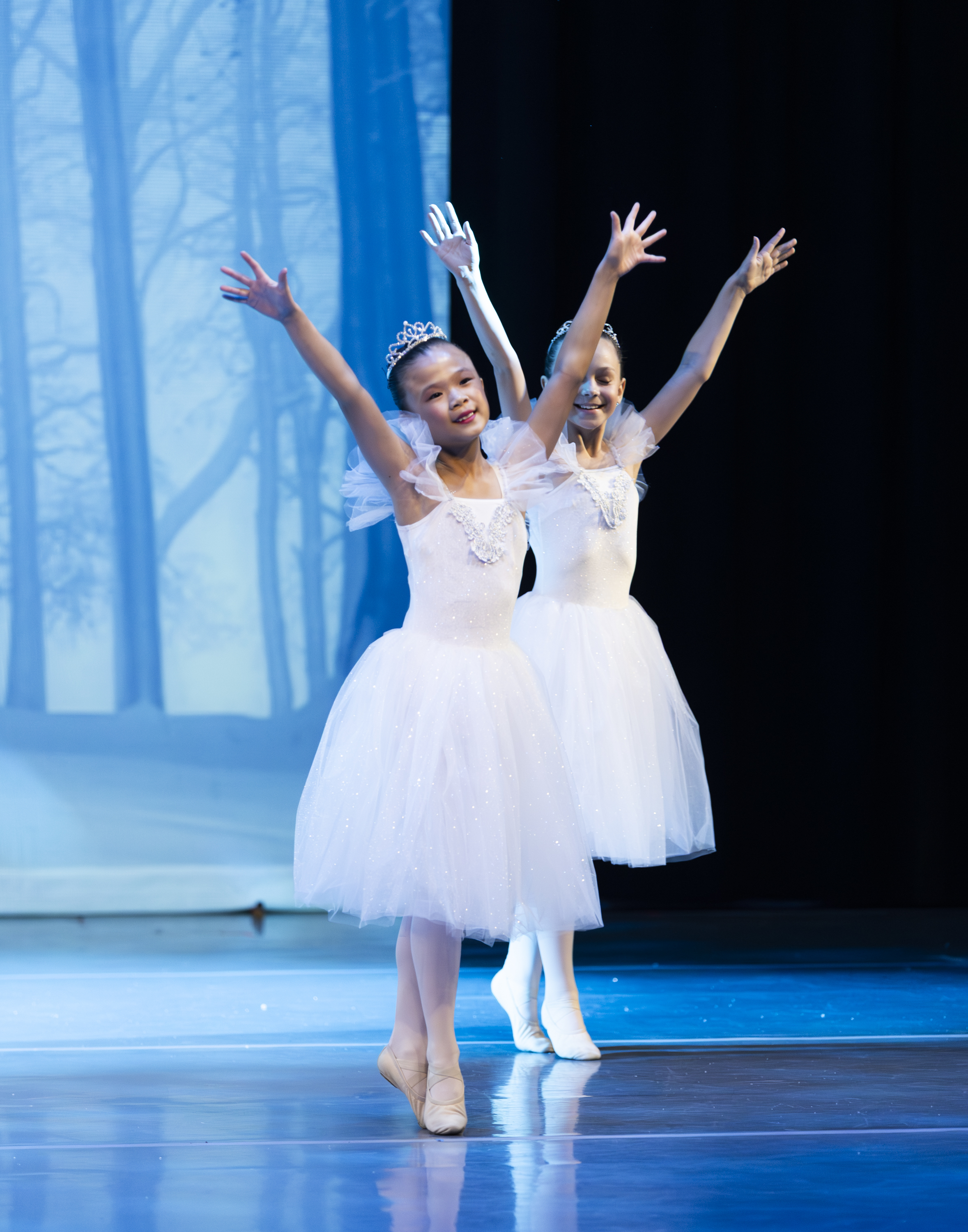 Nutcracker Reimagined performance photo