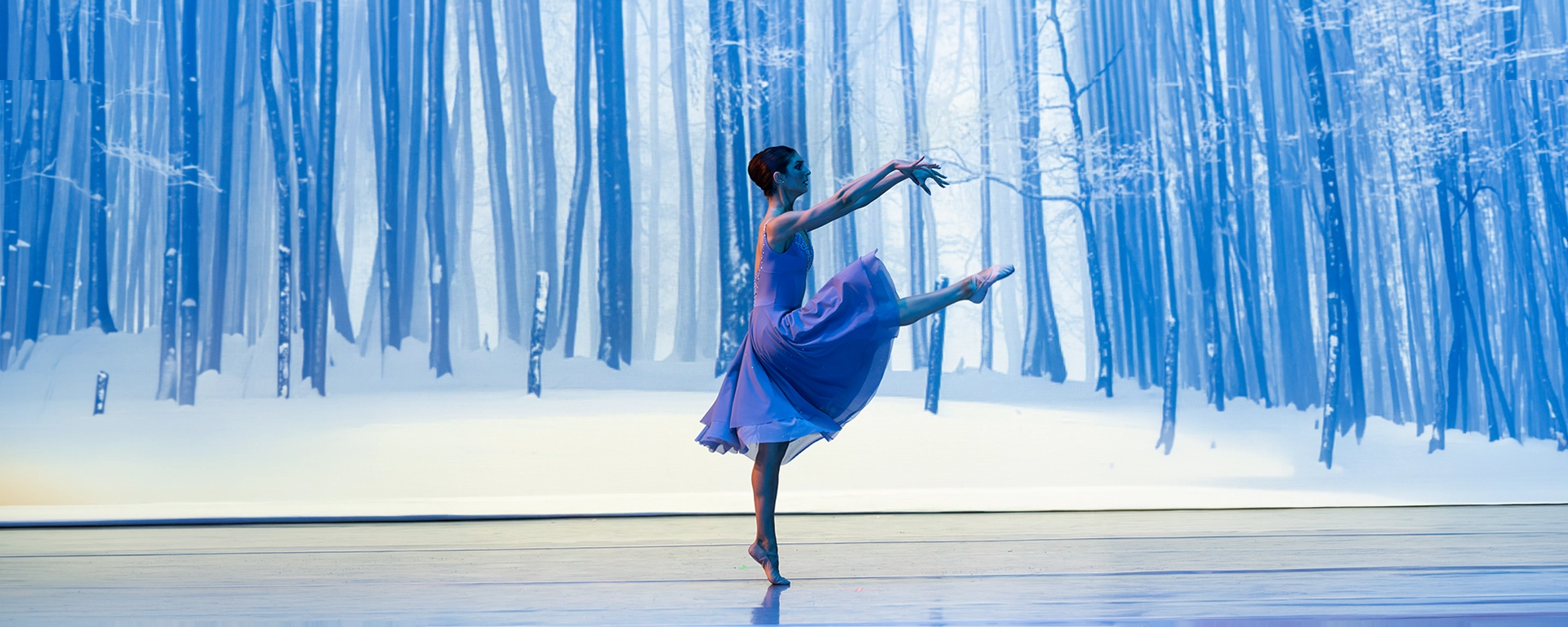 Nutcracker Reimagined