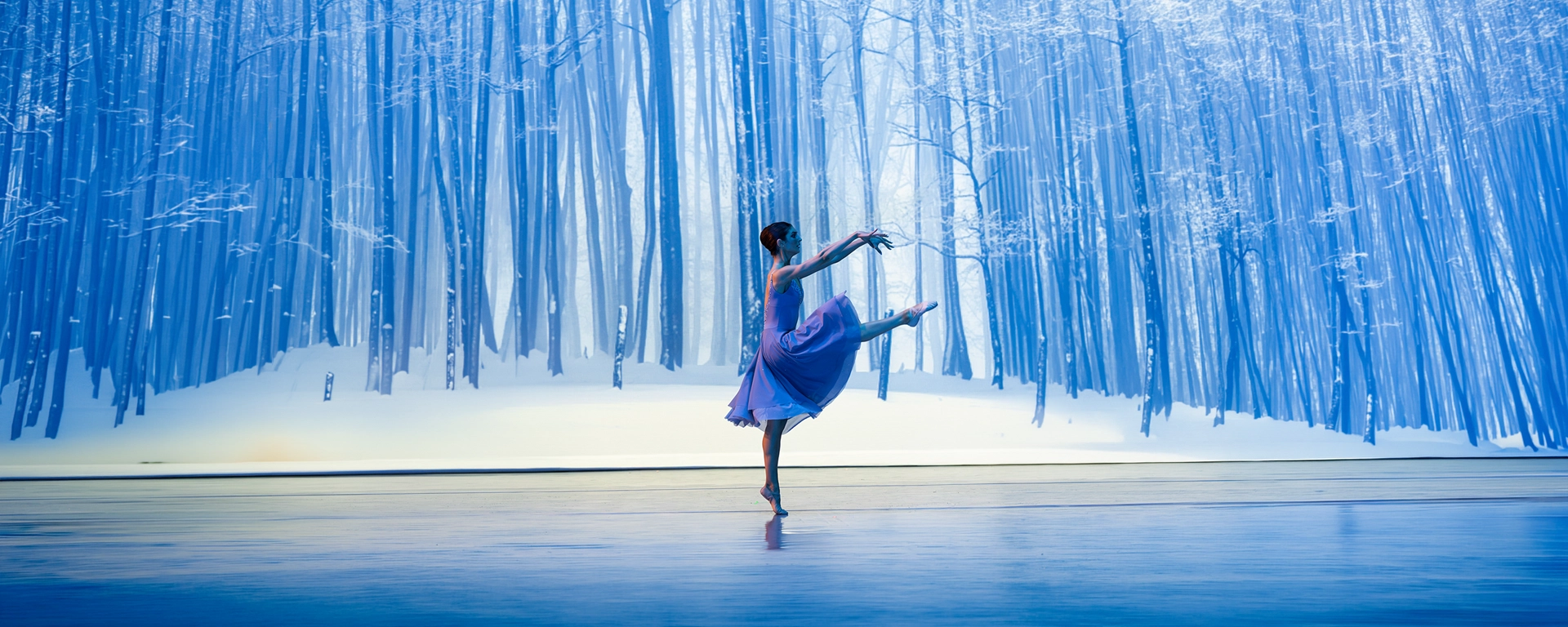 Nutcracker Reimagined