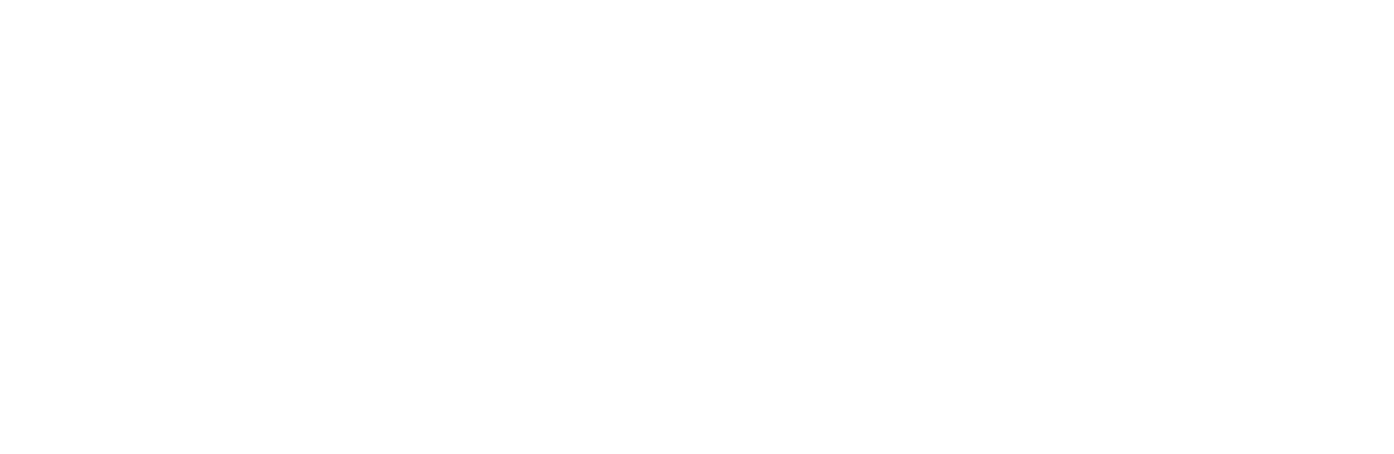 Mitchell Stankovic & Associates