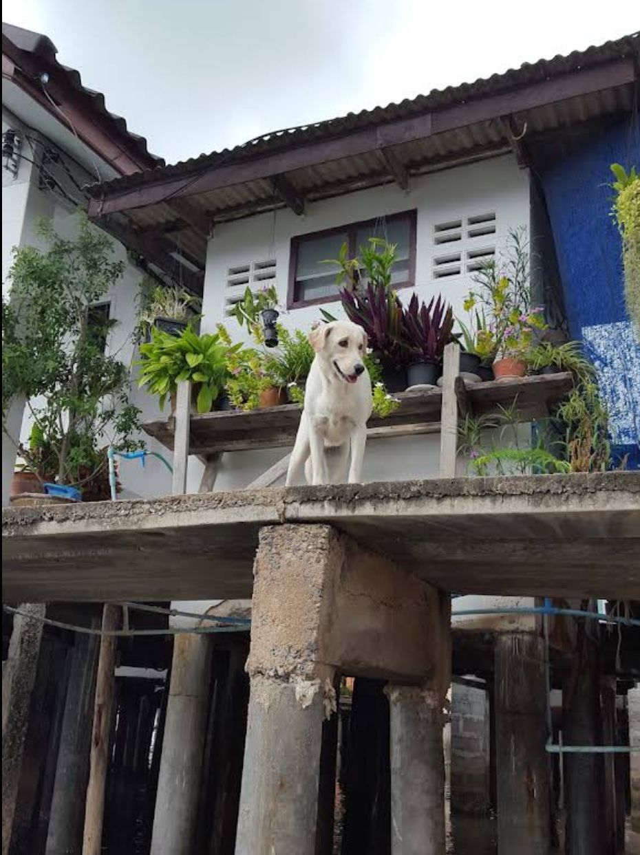Interior of a bright overwater cottage at Baan Muk Talay