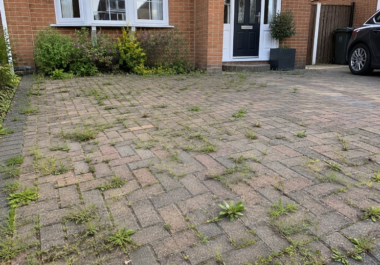 Why weeds keep coming back in block paving Why weeds keep coming back in block paving