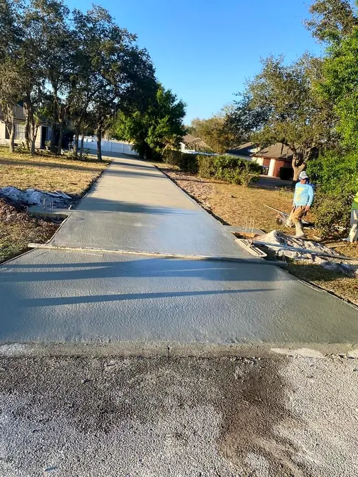 Freshly poured concrete along a tree-lined street