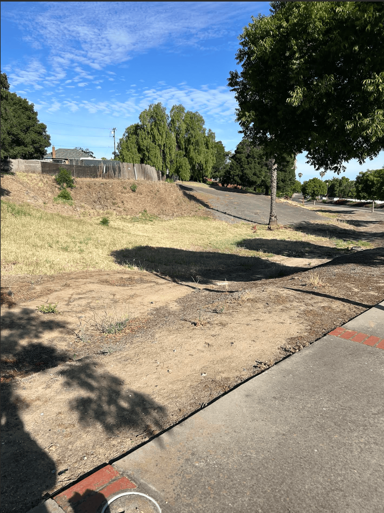 What to Expect From Your First Park Clean-up Event - Take Care of Antioch