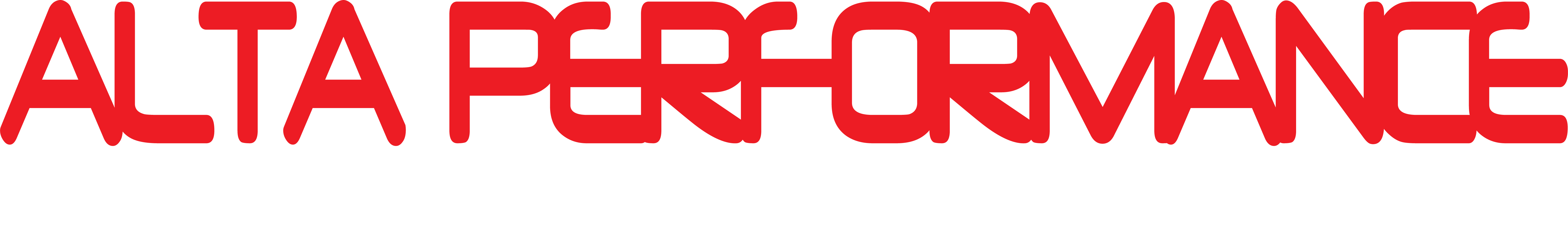 Logo Alta Performance Motorsport Curitiba
