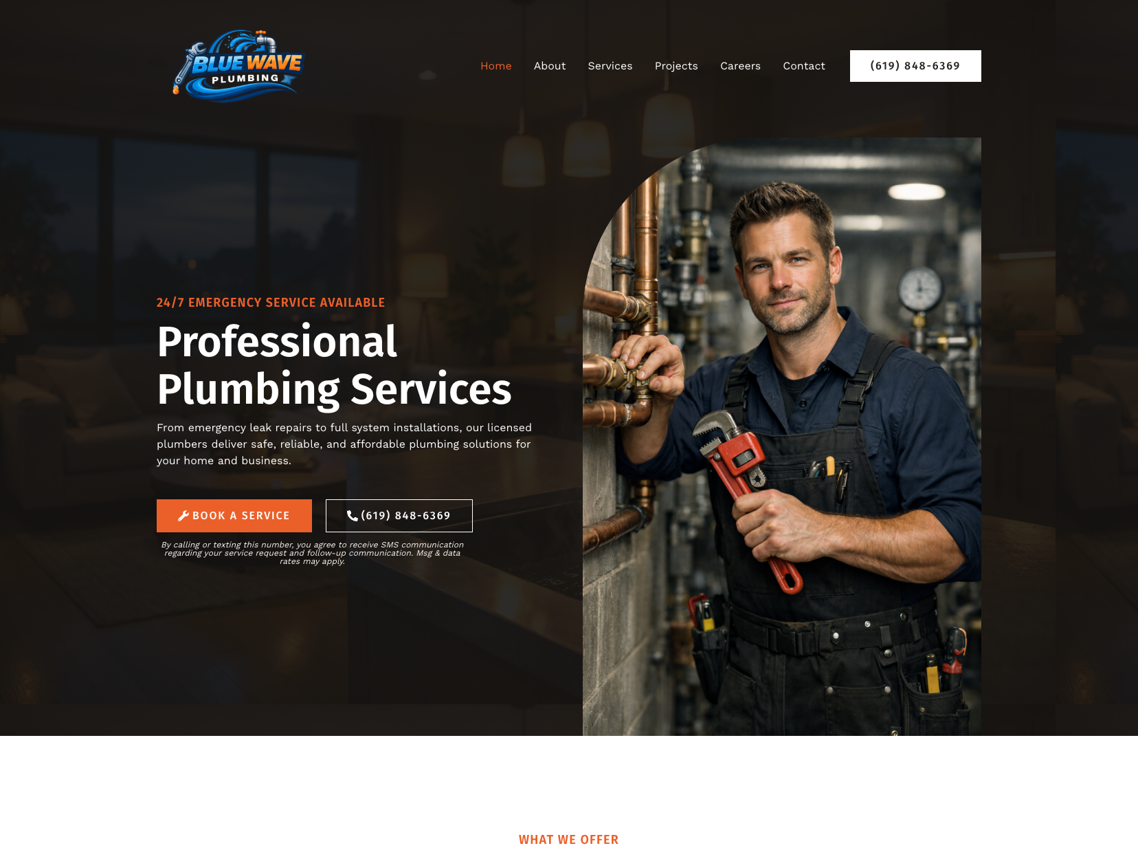 Blue Wave Plumbing on desktop