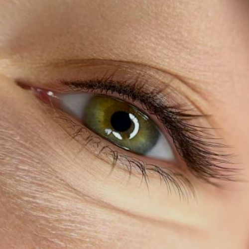 Lash line permanent Bordeaux