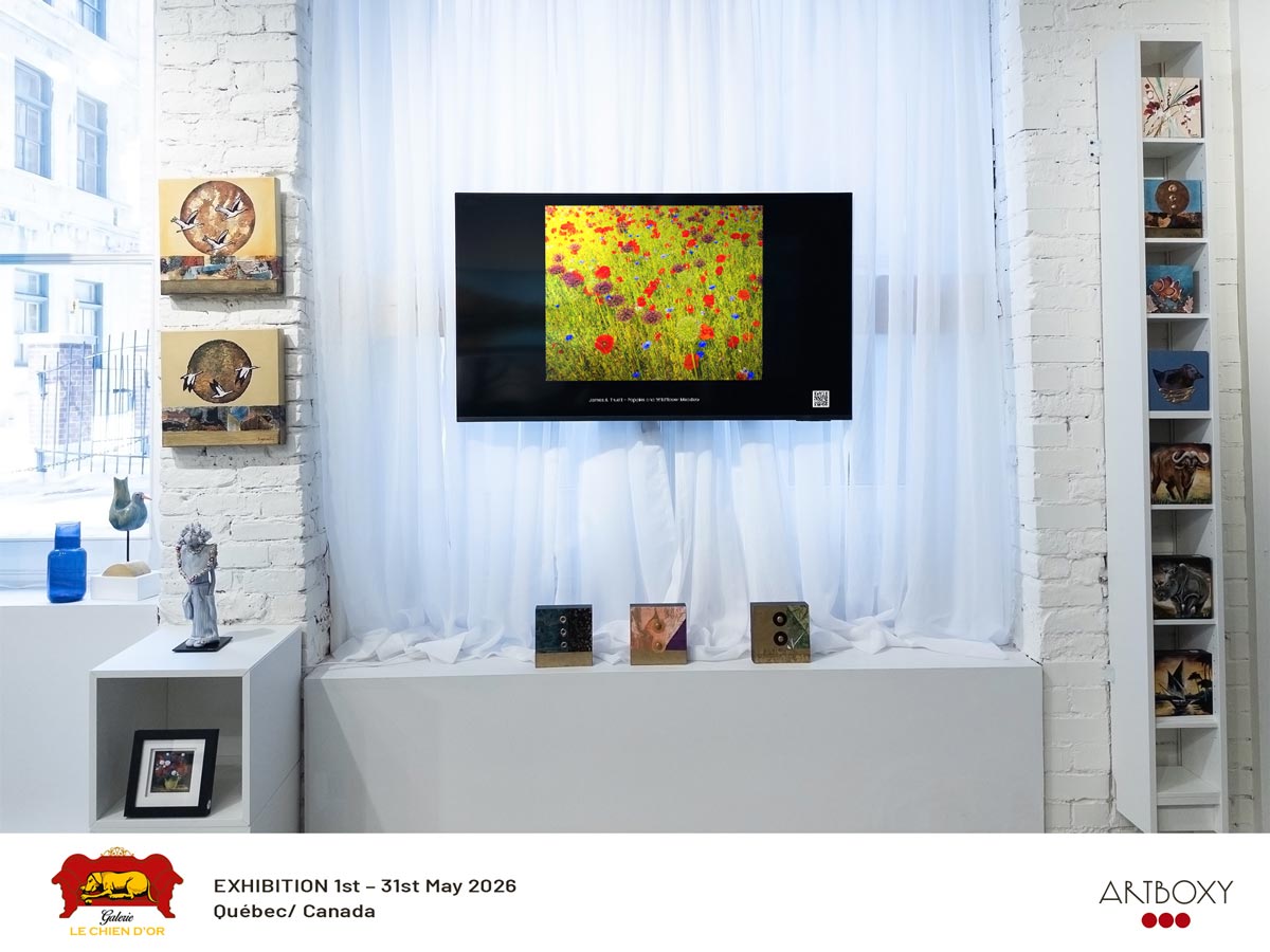 "Poppies & Wildflower Meadow" on display for a second month in Quebec City, Canada.