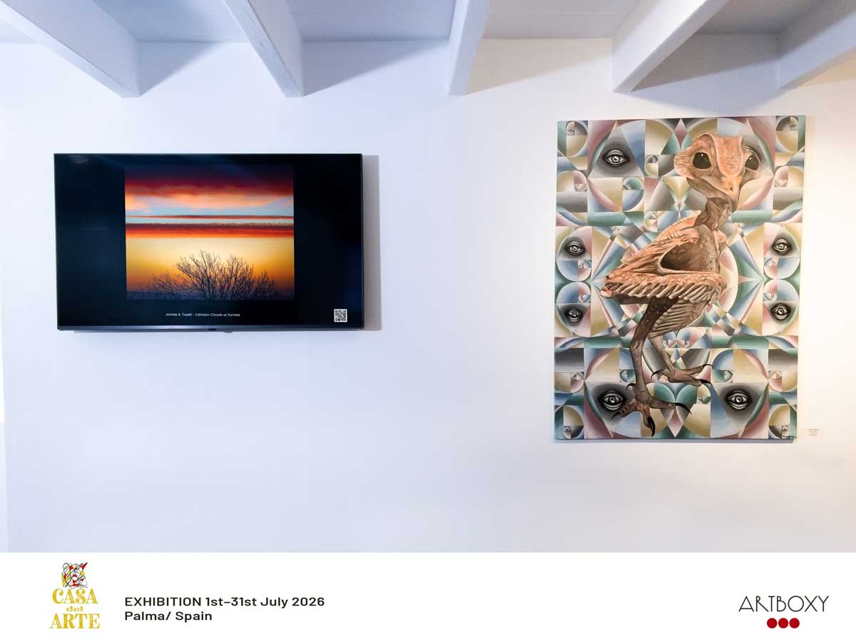 Crimson Irish Sunrise at Casa del Arte, Palma de Mallorca, Spain in July 2026.