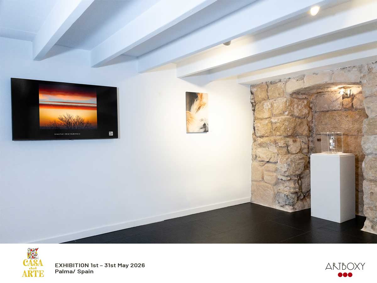Crimson Irish Sunrise on display at Casa del Arte, Palma de Mallorca, Spain
