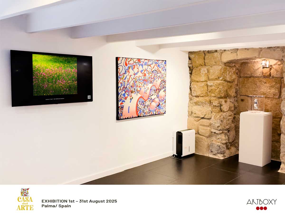 Irish Wildflower Meadow on display at Casa del Arte, Palma de Mallorca, Spain