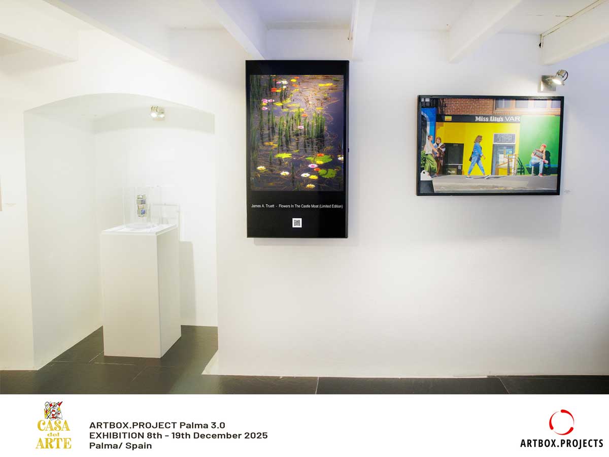 Flowers in the Castle Moat was shown as part of Artbox Project Palma at Casa del Arte, Palma de Mallorca, Spain.