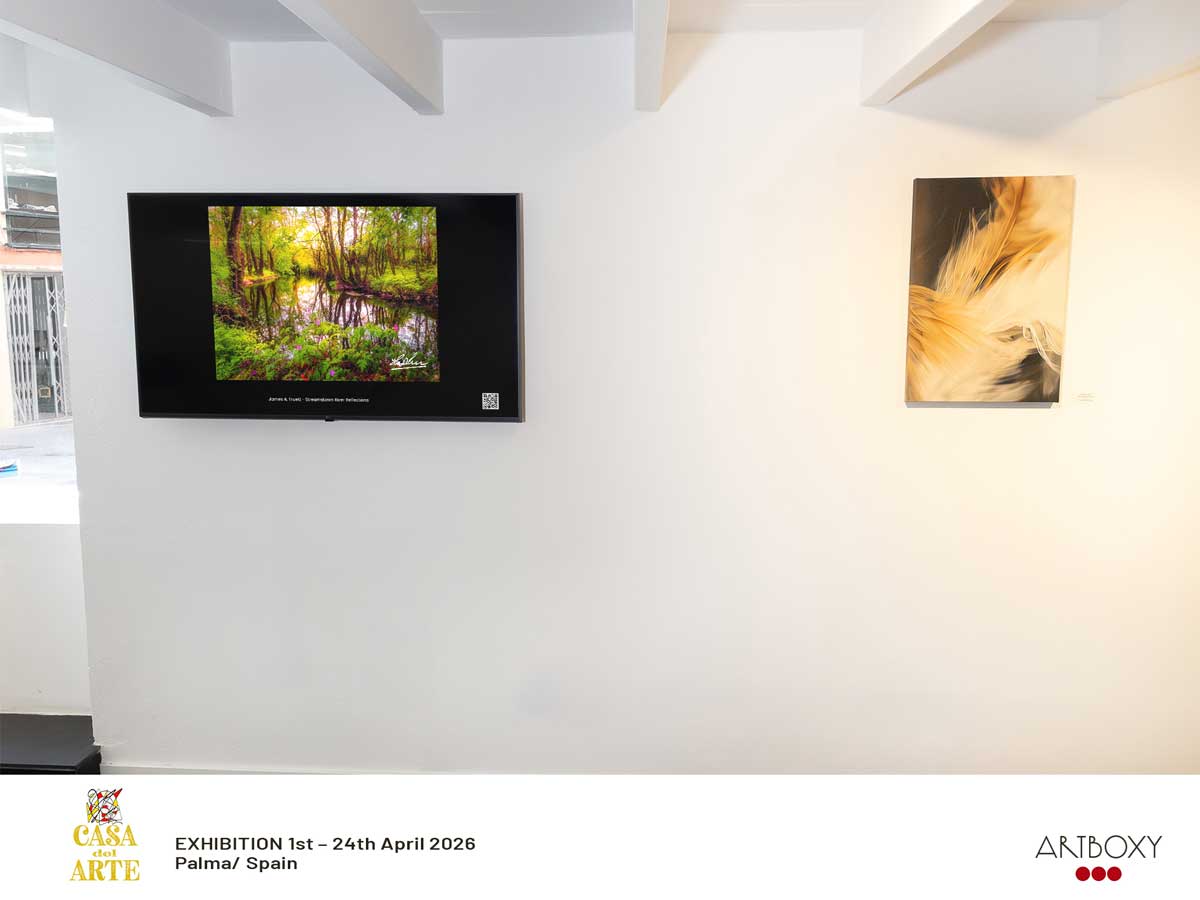 Streamstown River Reflections on display at Casa del Arte, Palma de Mallorca, Spain.