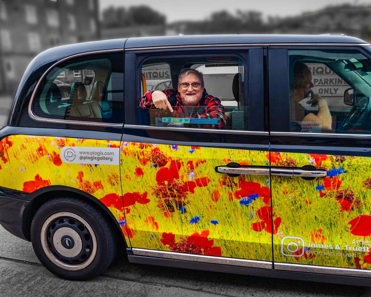 Poppies and Wildflower Meadow on a London Black Cab Poppies and Wildflower Meadow on a London Black Cab