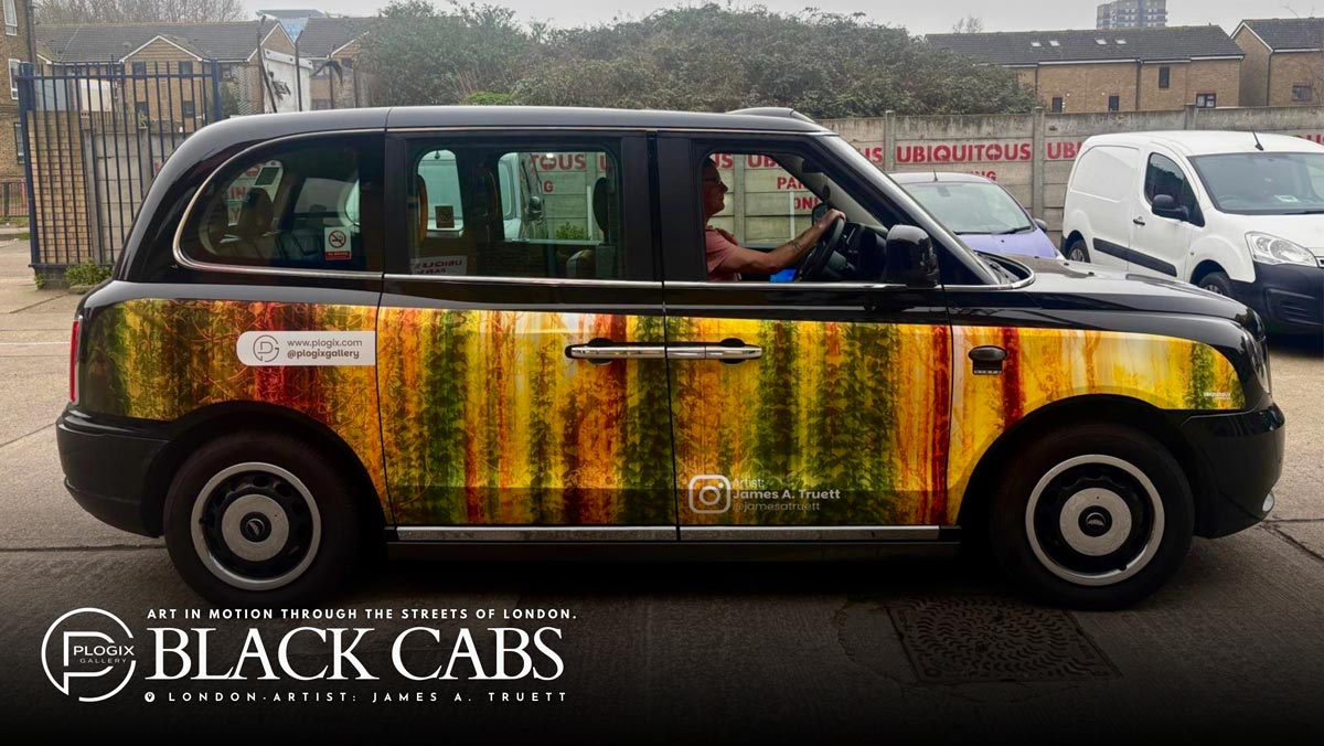 Impressionist Irish Woodland on a London Black Cab. Impressionist Irish Woodland on a London Black Cab.