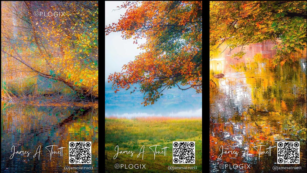 Artwork displayed inside London phone booths.