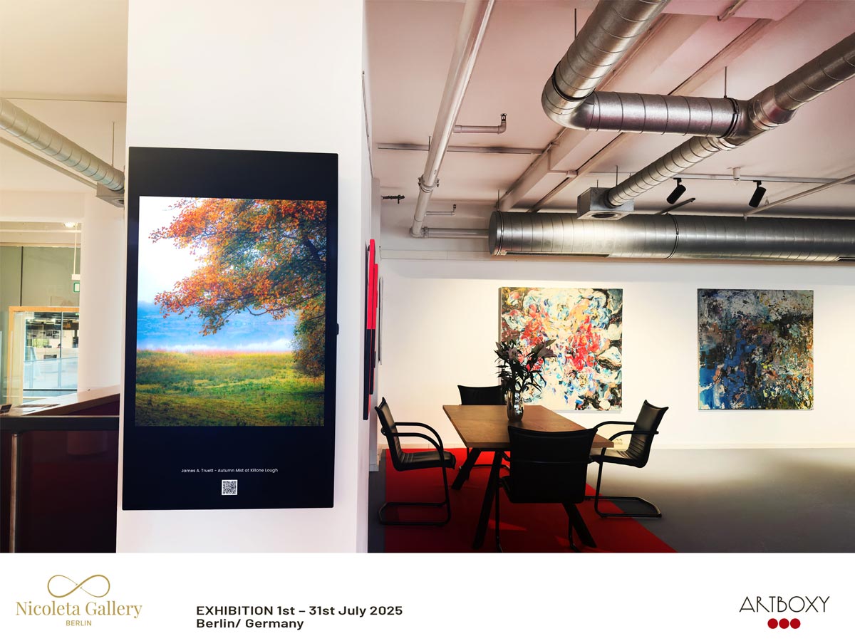 "Autumn Mist at Killone Lough" was displayed at Nicoleta Gallery during July 2025.