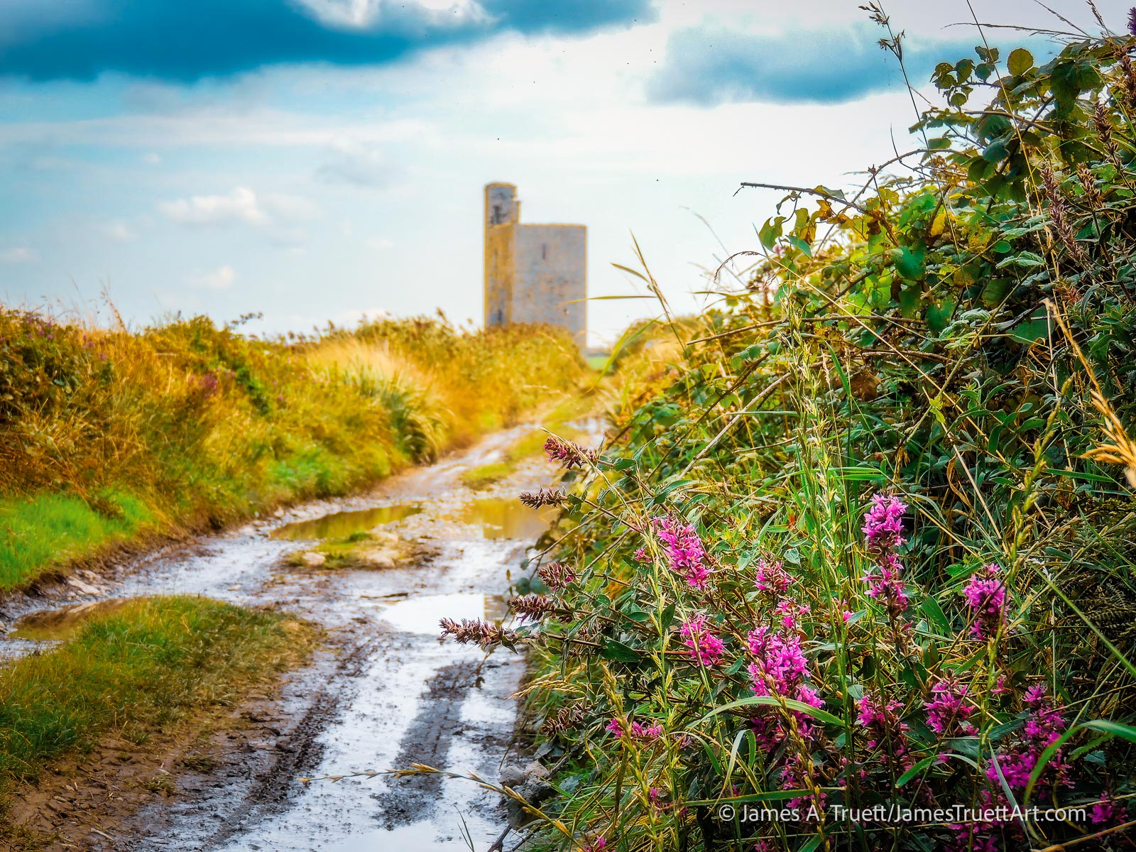 Muddy Road to Tromra Castle, County Clare, Ireland