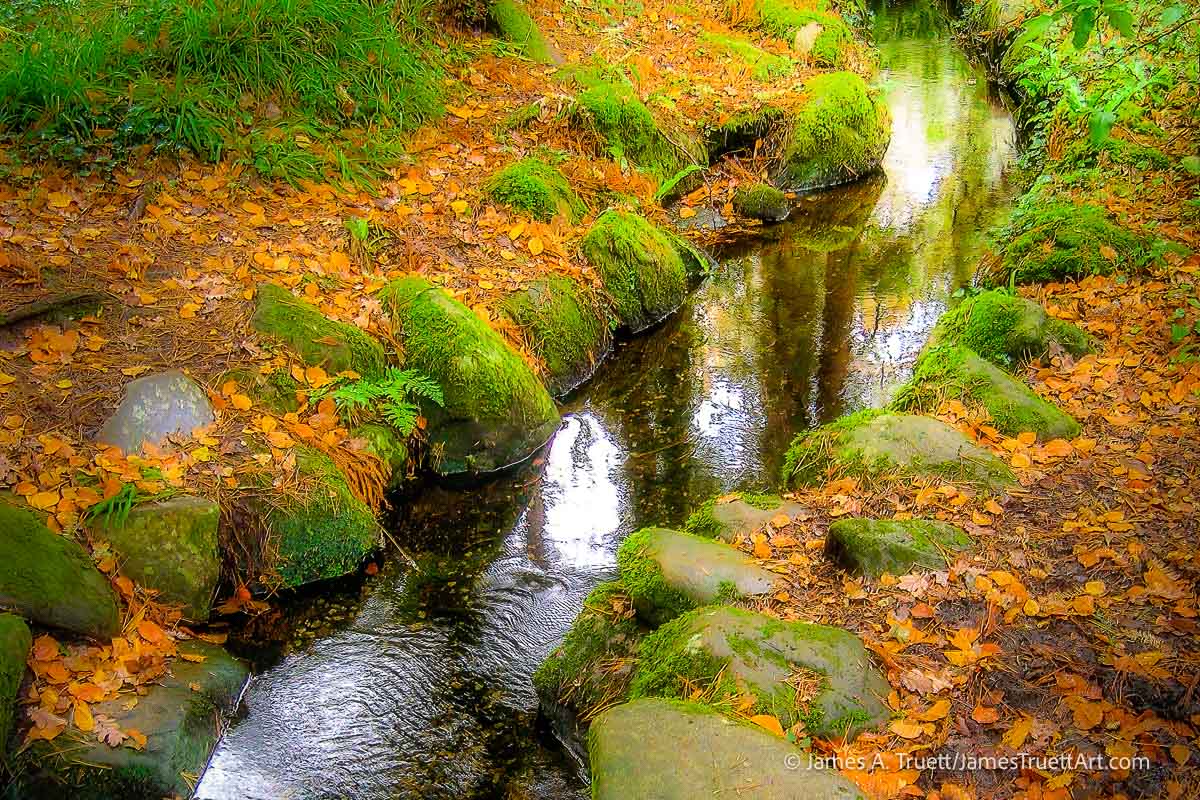 A stream runs through Killarney National Park in County Kerry, Ireland.