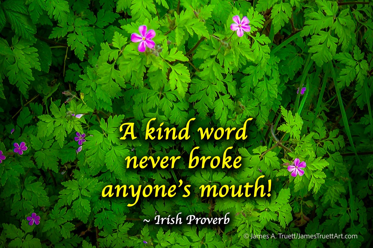 A kind word never broke anyone's mouth, Irish Proverb.